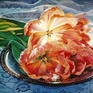 Tulips and a Tin Plate